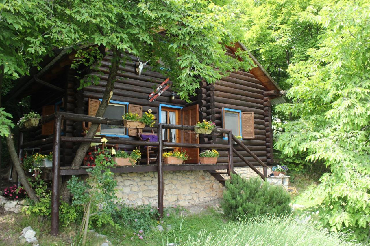 B&B Le Corone - Chalet Nel Bosco Cavalo Exterior photo